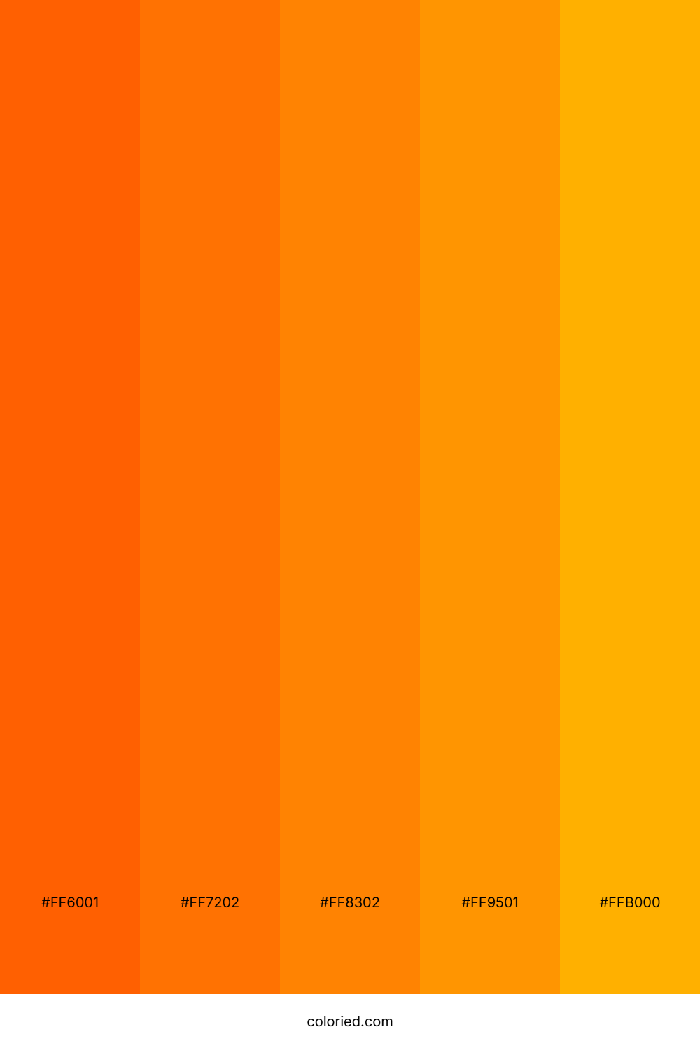Bright Orange and Tangerine Color Palette