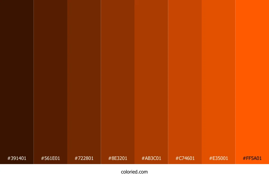 Bright Orange Shades