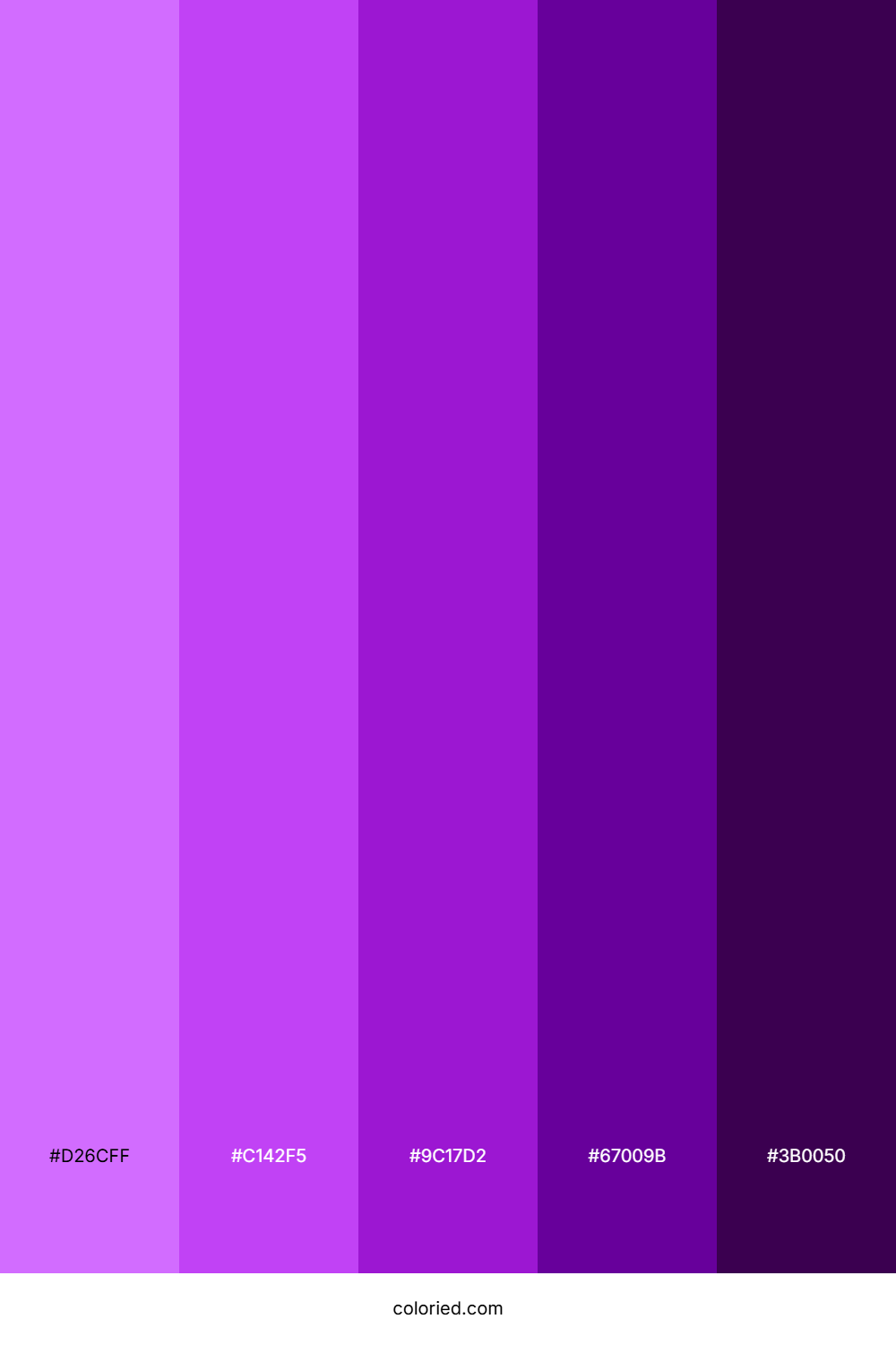 Bright Purple and Dark Purple Color Palette