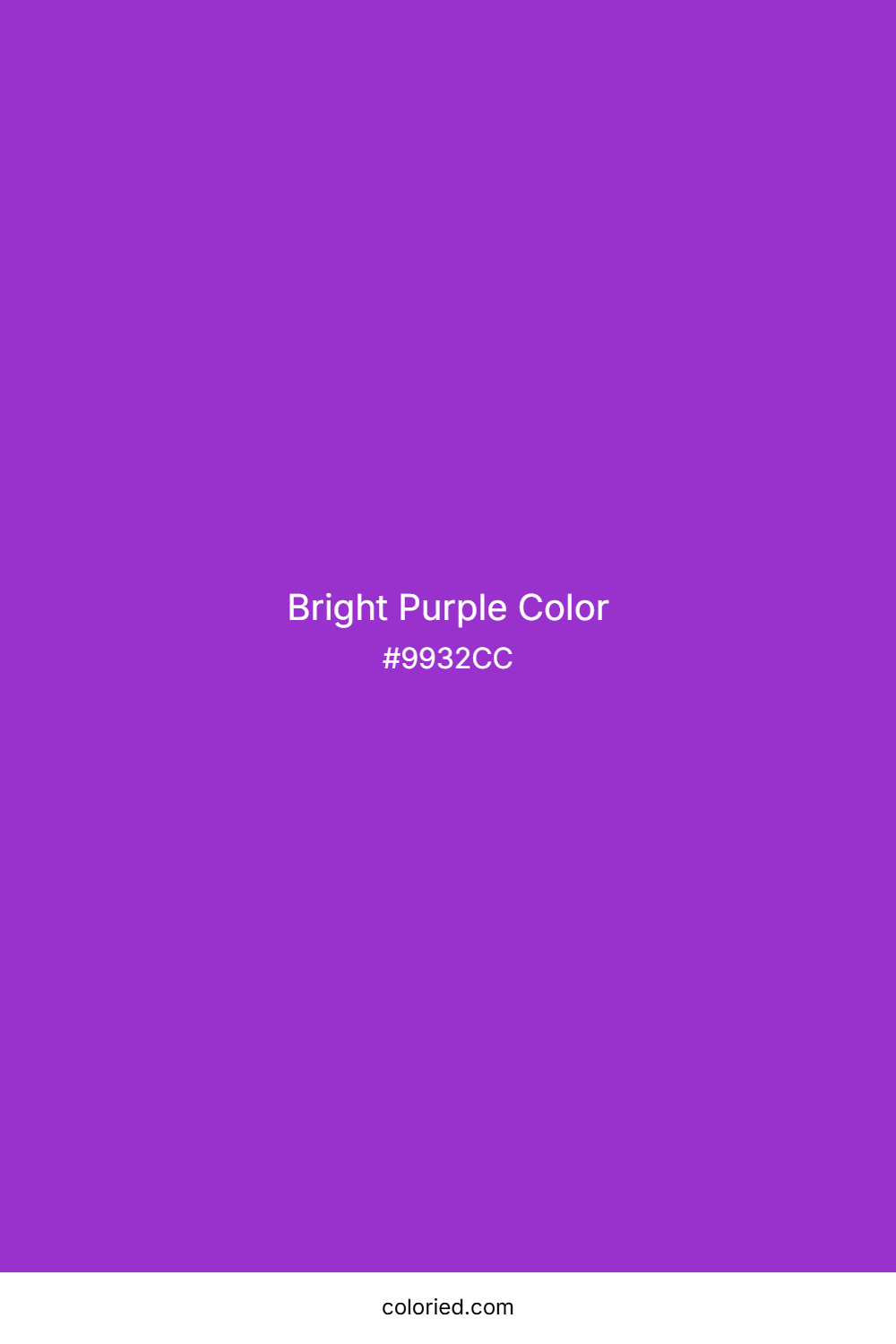 Bright Purple Color