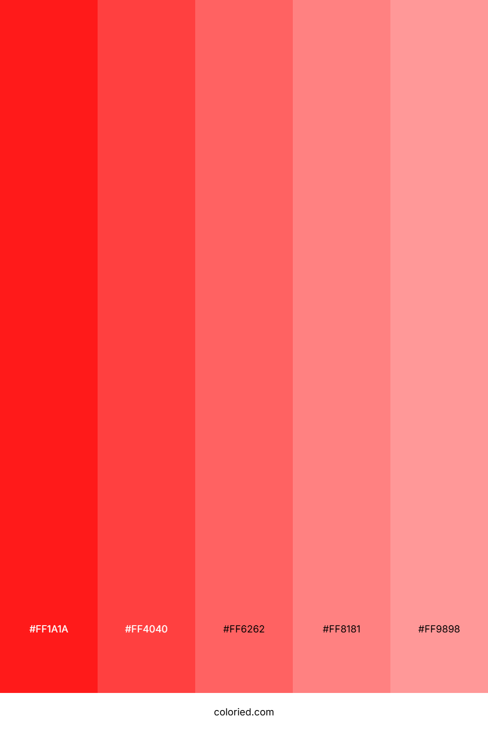 Bright Red and Soft Coral Color Palette