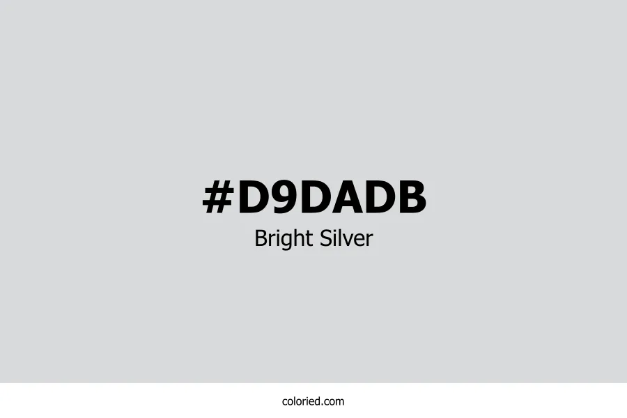Bright Silver Color