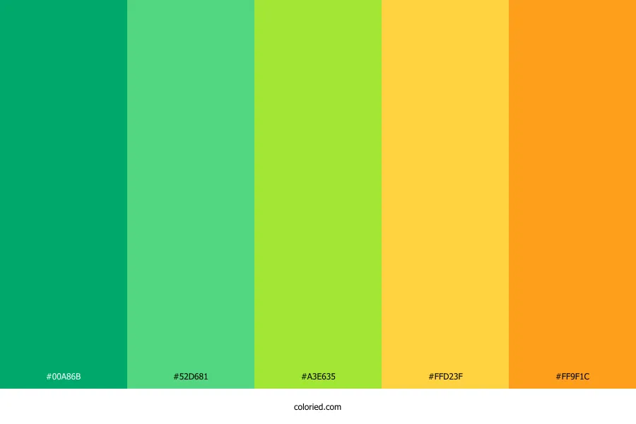 Bright Spring Color Palette Fan