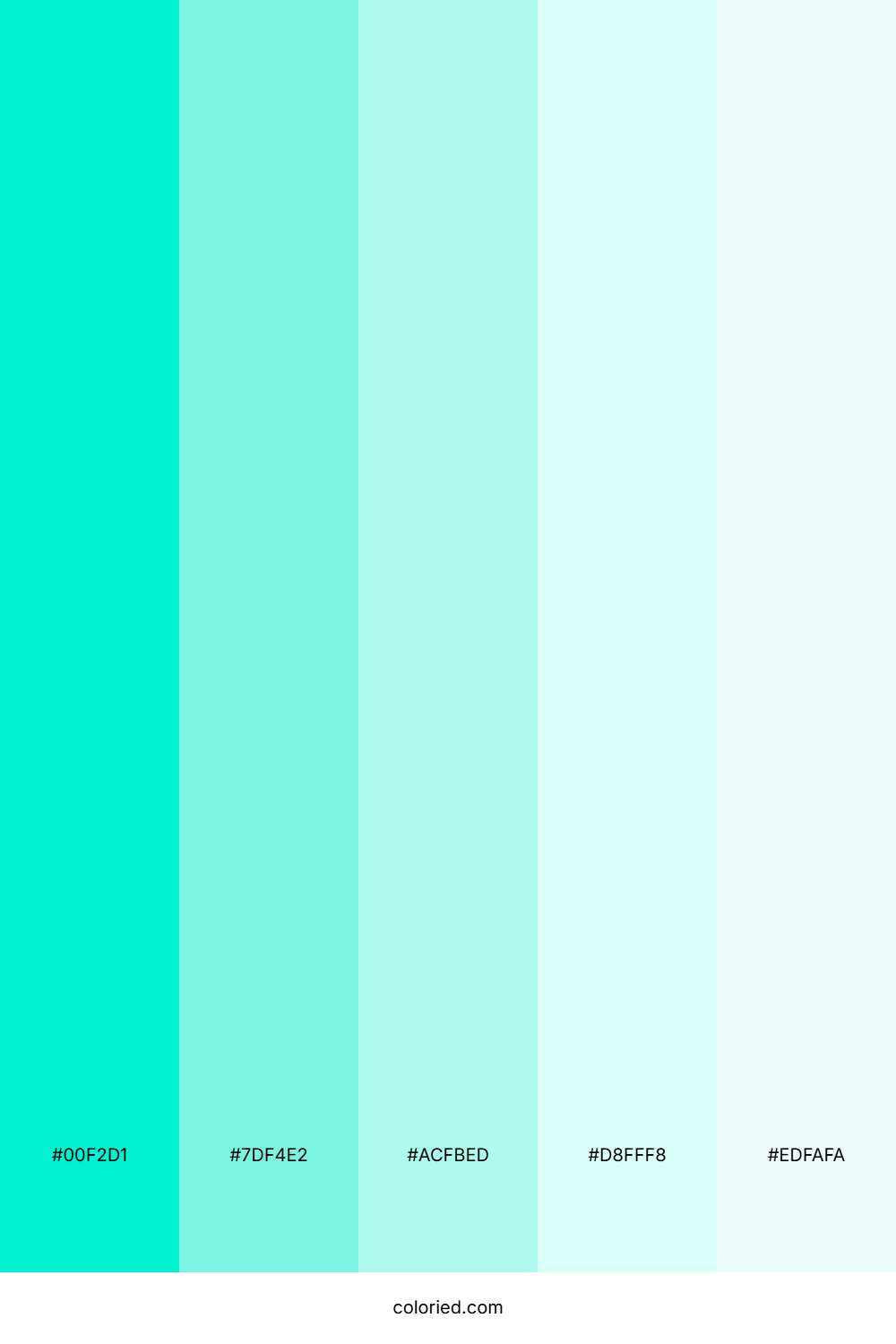 Bright Teal and Soft Cyan Color Palette