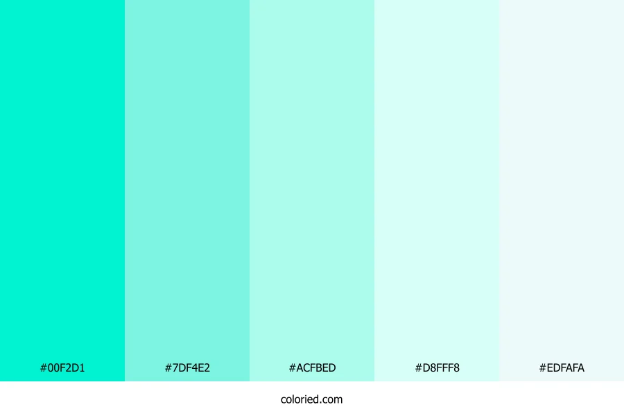 Bright Teal and Soft Cyan Color Palette