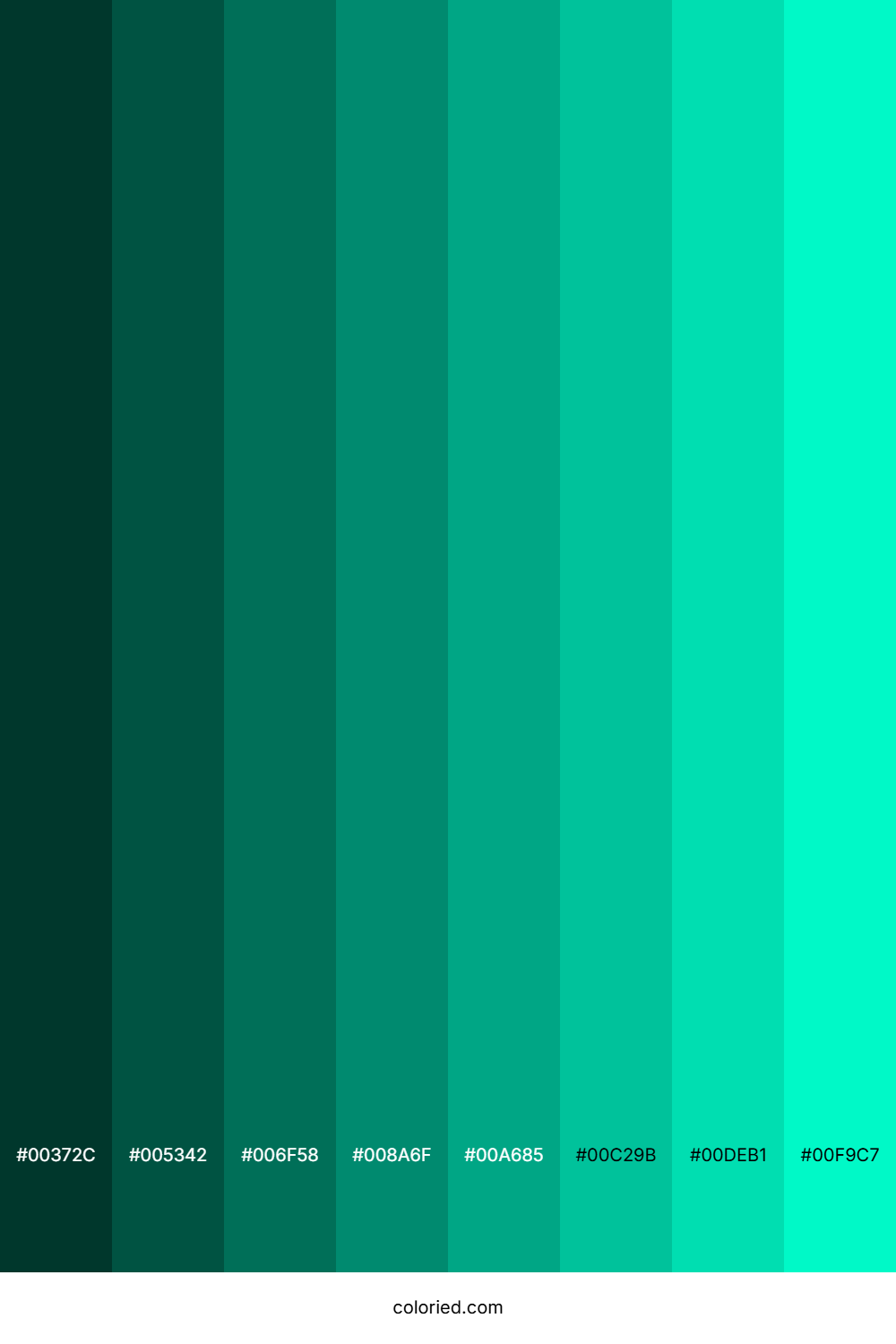 Bright Teal Color Shades