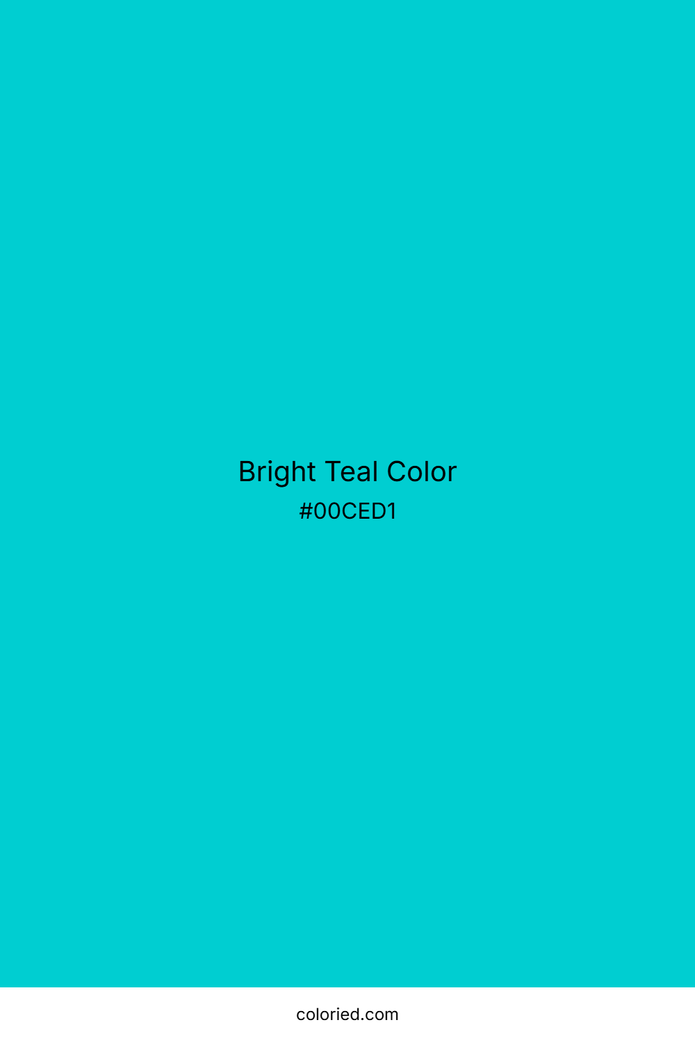 Bright Teal Color