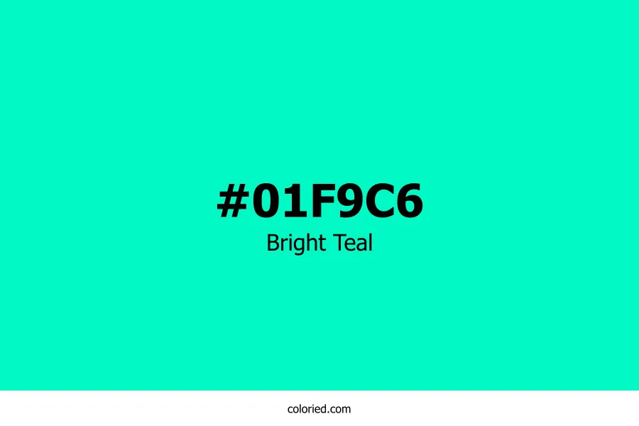 Bright Teal Color