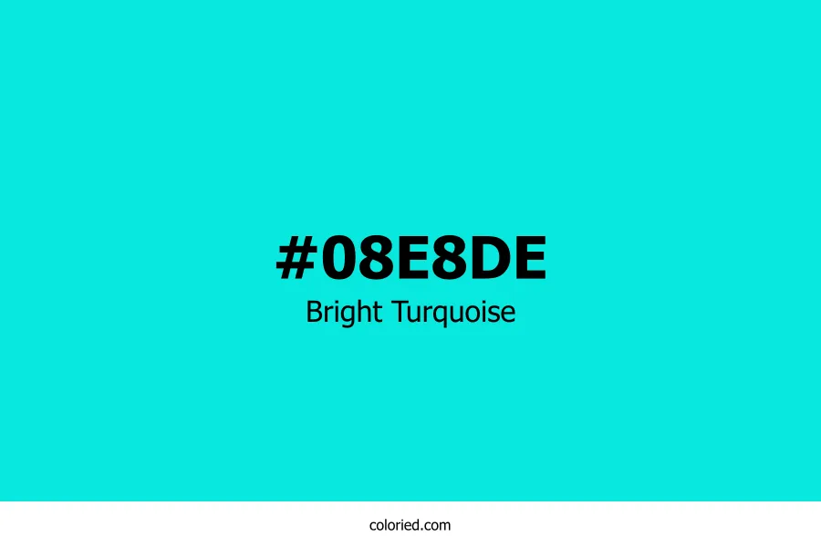 Bright Turquoise Color