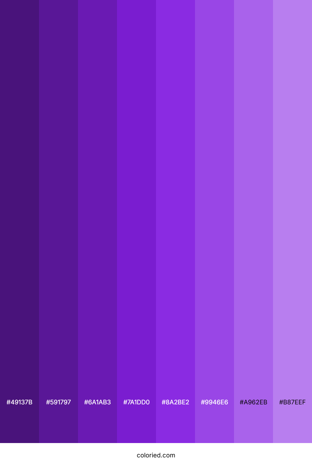 Bright Violet Shades