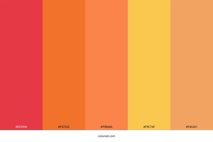 Bright Warm Medium Color Palette