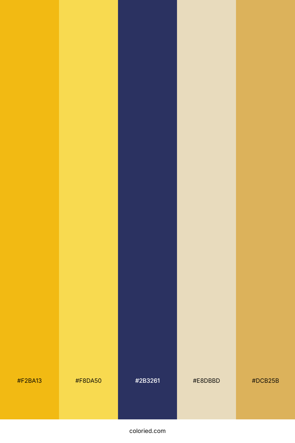 Bright Yellow And Deep Navy Color Palette