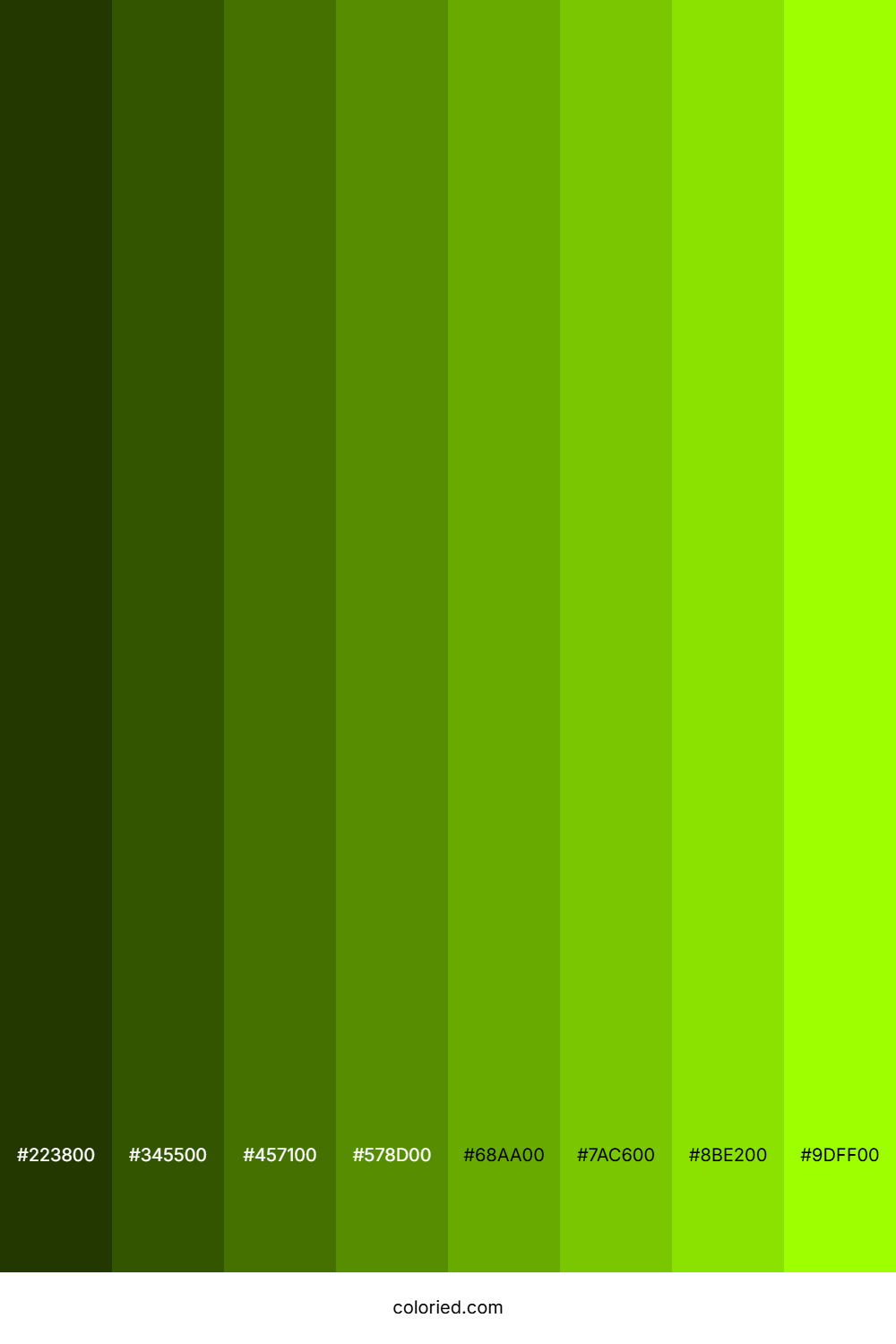 Bright Yellow Green Color Shades