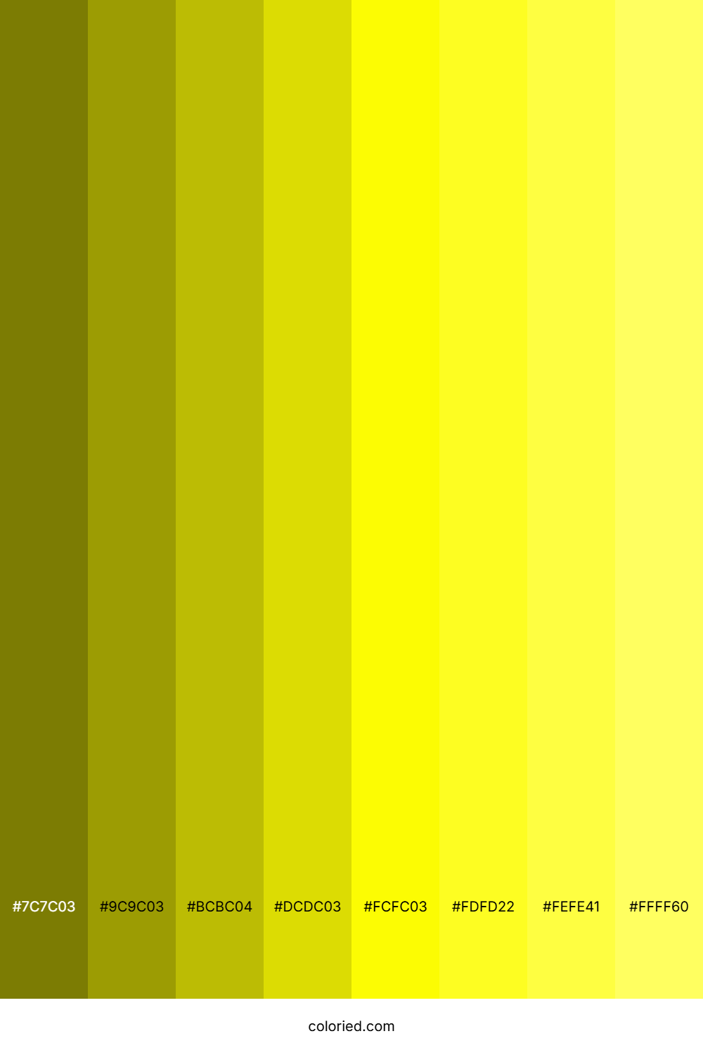 Bright Yellow Shades