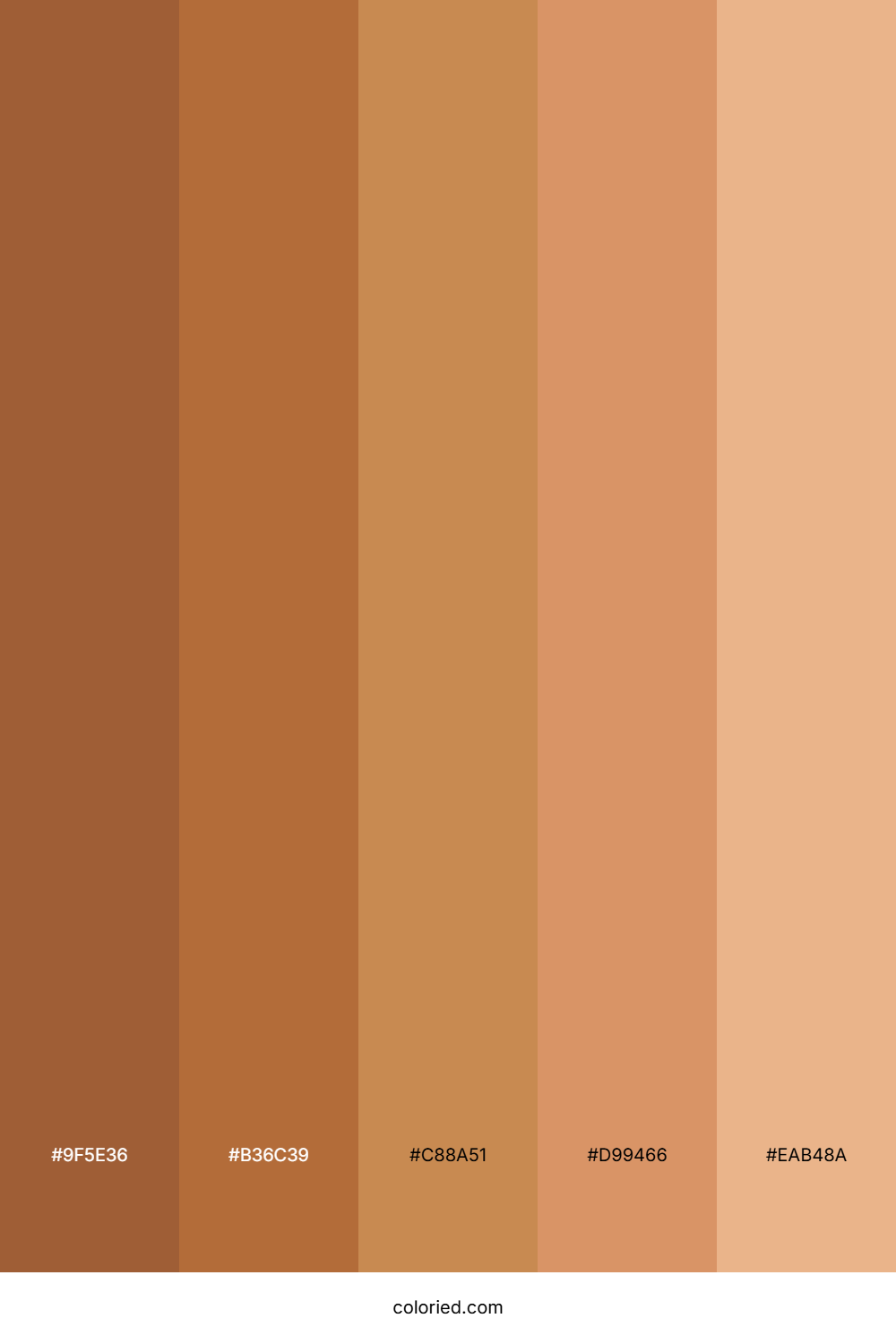 Bronze And Amber Color Palette