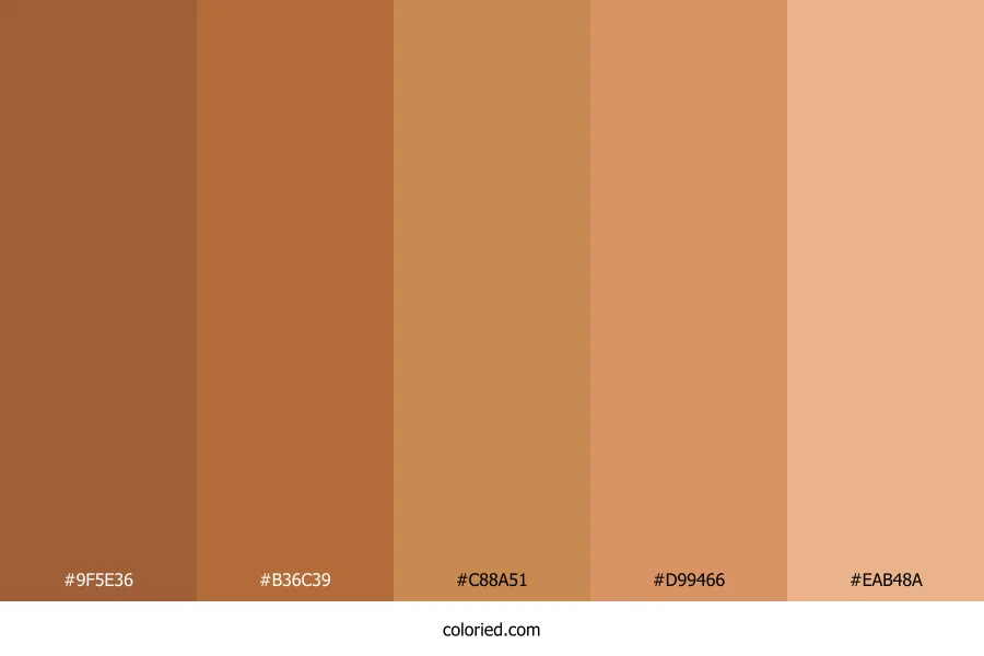 Bronze and Amber Color Palette