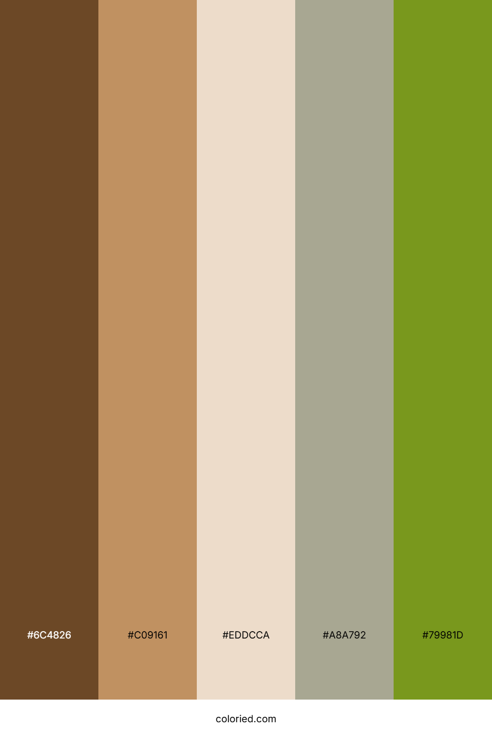 Bronze Leaf Trail Color Palette