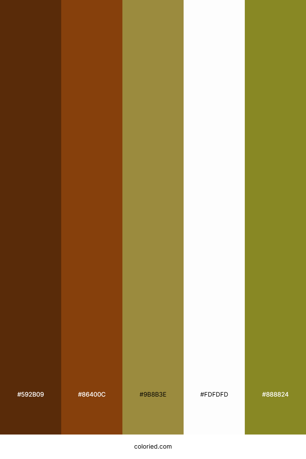 Bronze Sunlit Path Color Palette