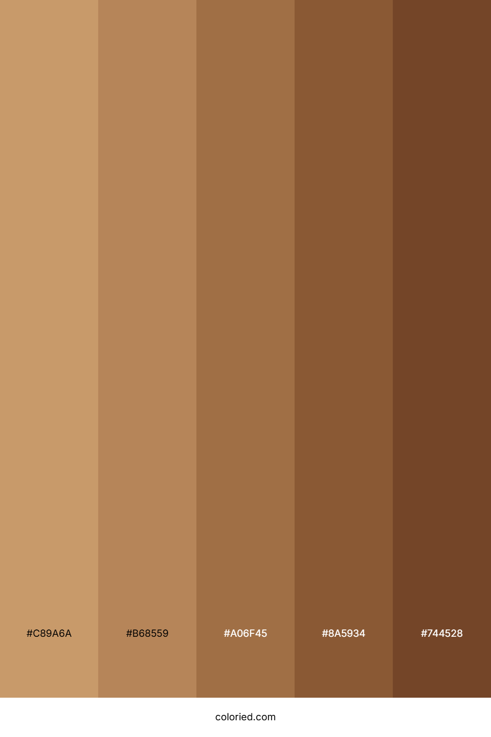 Bronze Tan Color Palette
