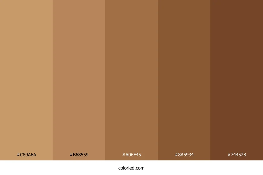 Bronze Tan Color Palette