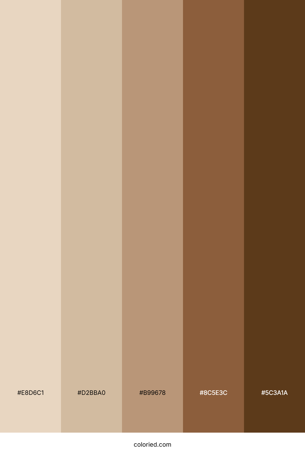 Brown and Beige Color Palette