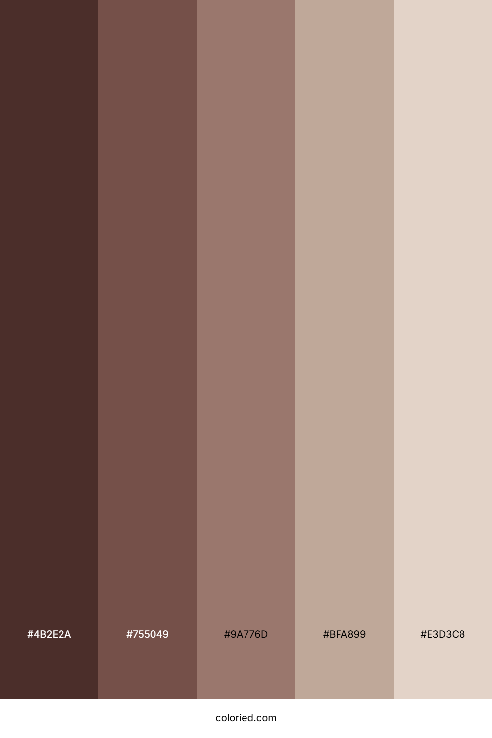 Brown and Beige Shades Color Palette