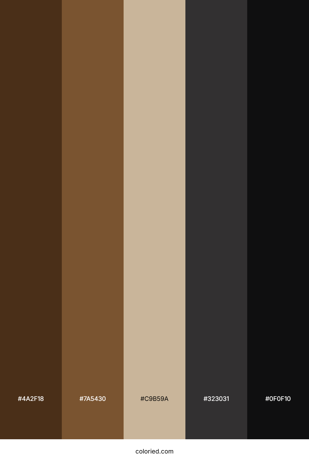 Brown and Black Color Palette