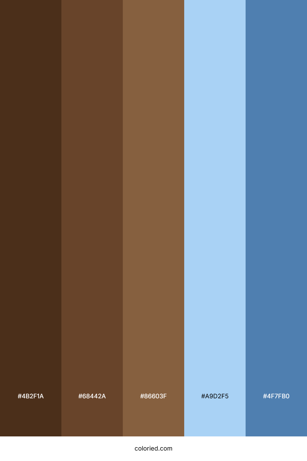 Brown and Blue Color Palette