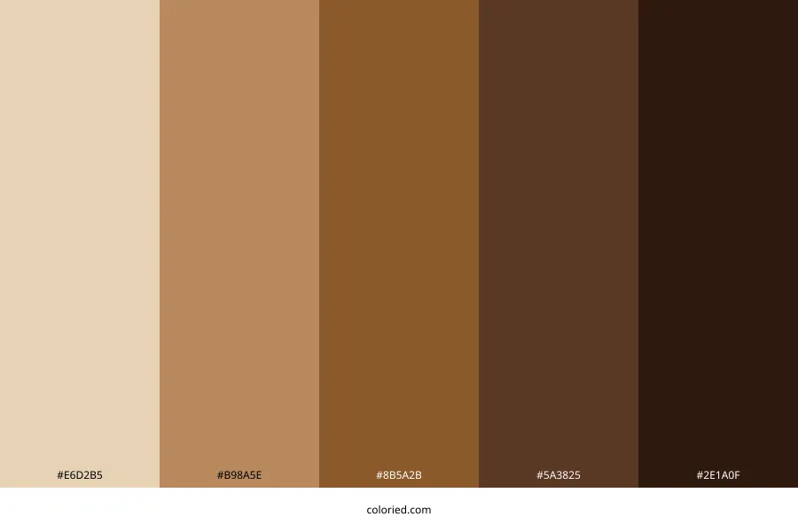 Brown and Choco Color Palette