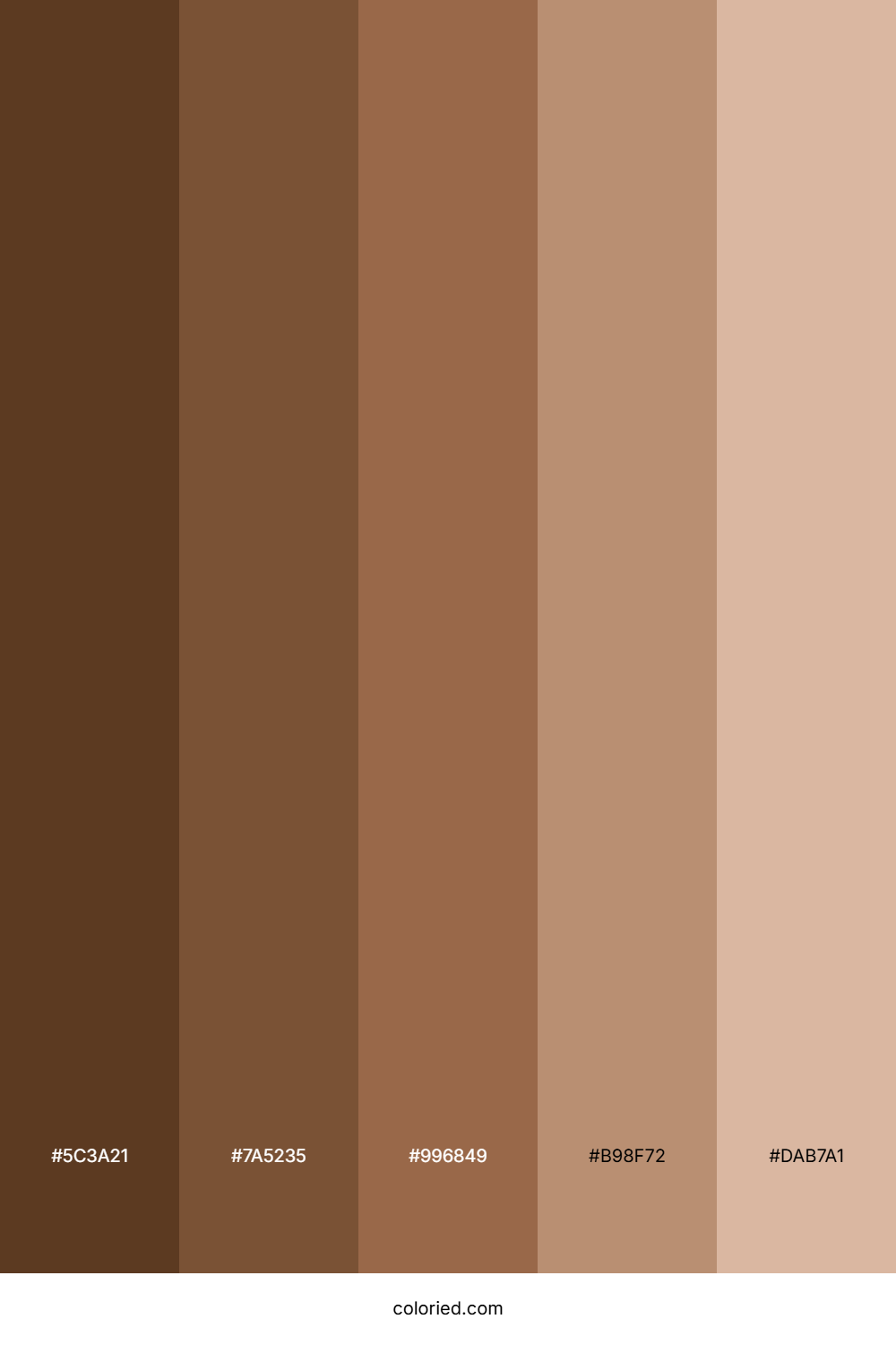 Brown and Cream Color Palette