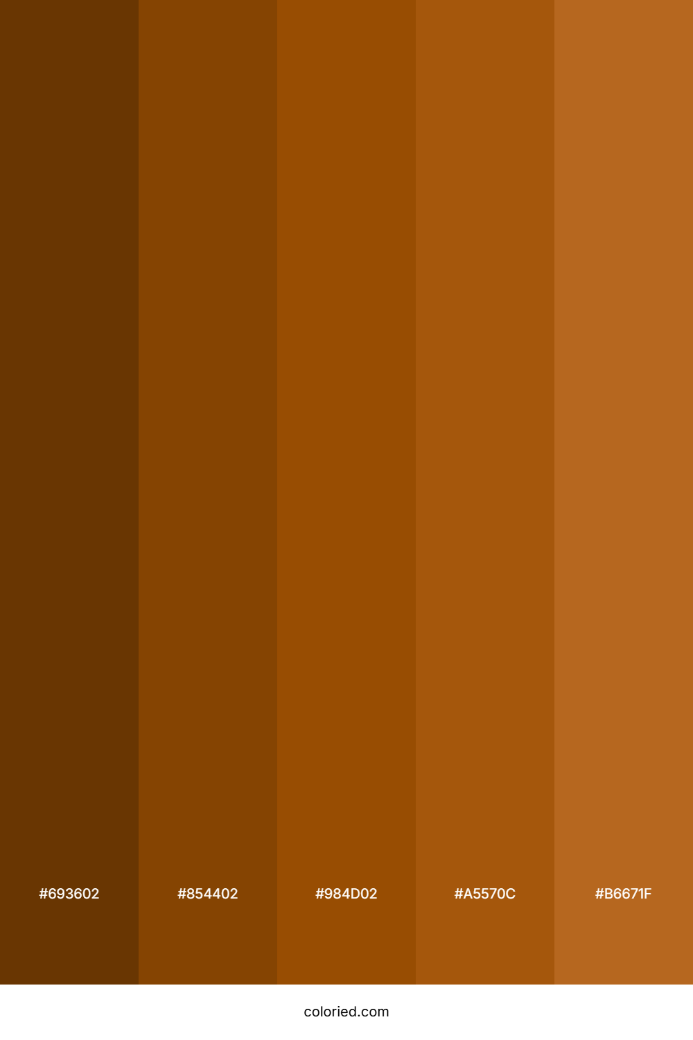 Brown and Dark Brown Color Palette