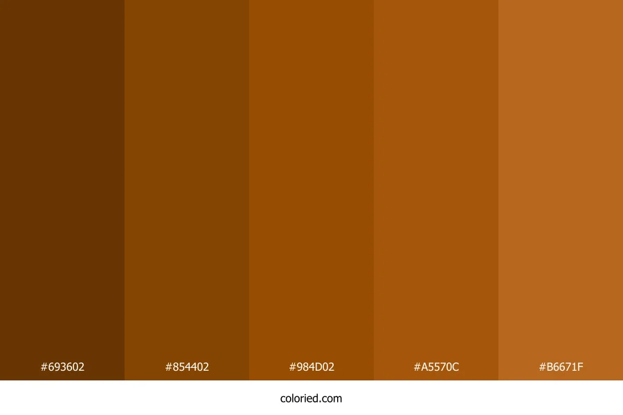 Brown and Dark Brown Color Palette