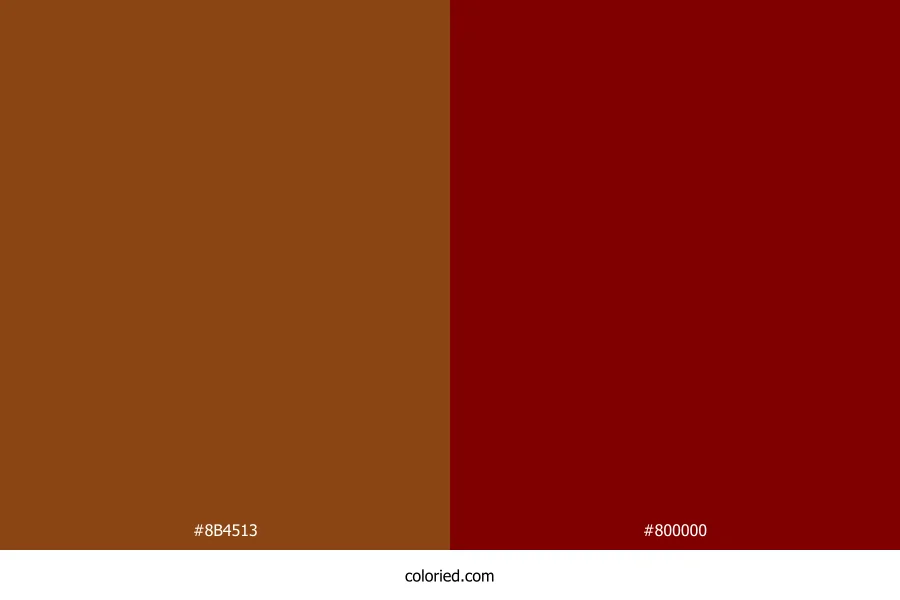 Brown and Maroon Dress Combination