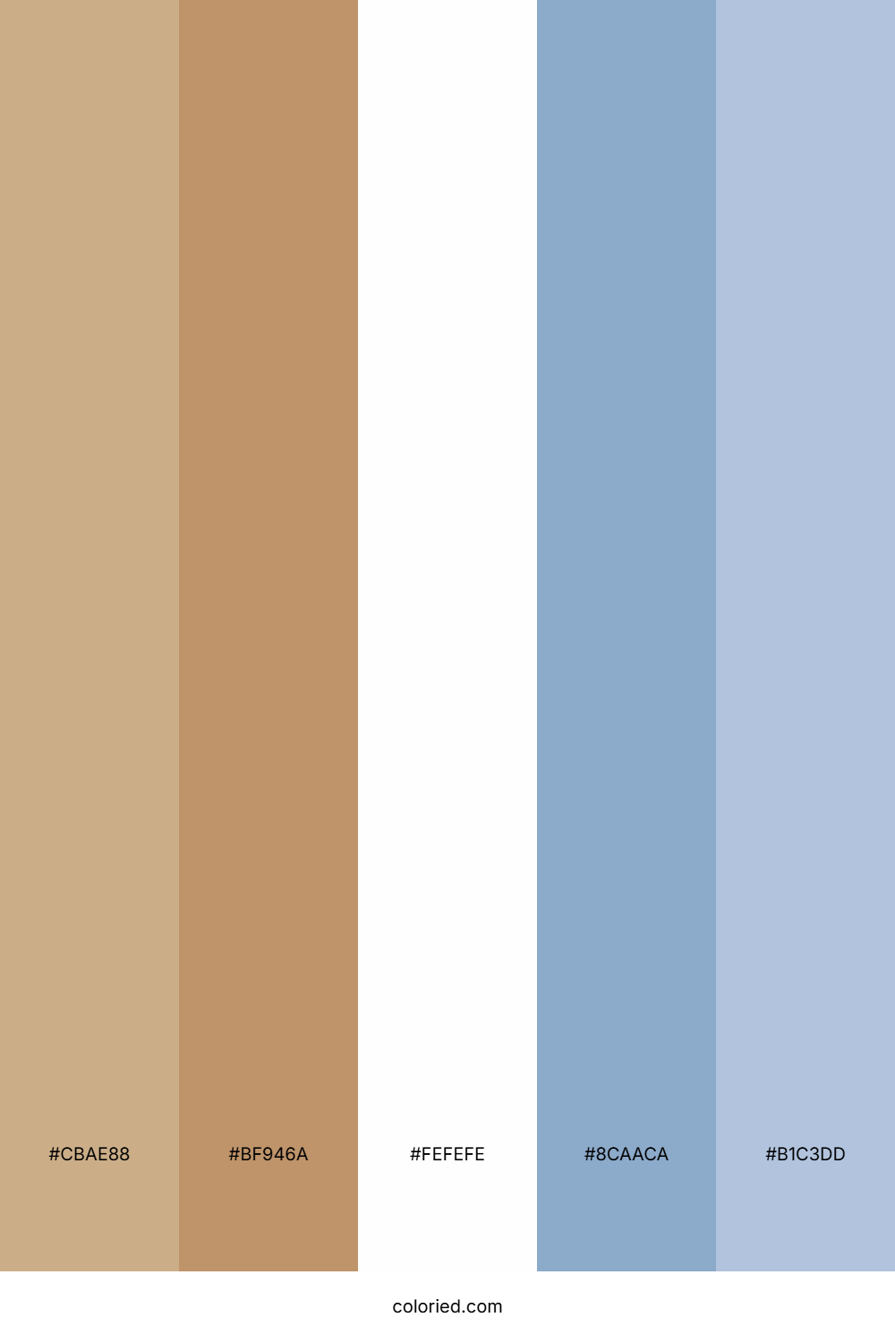 Brown and Soft Blue Color Palette