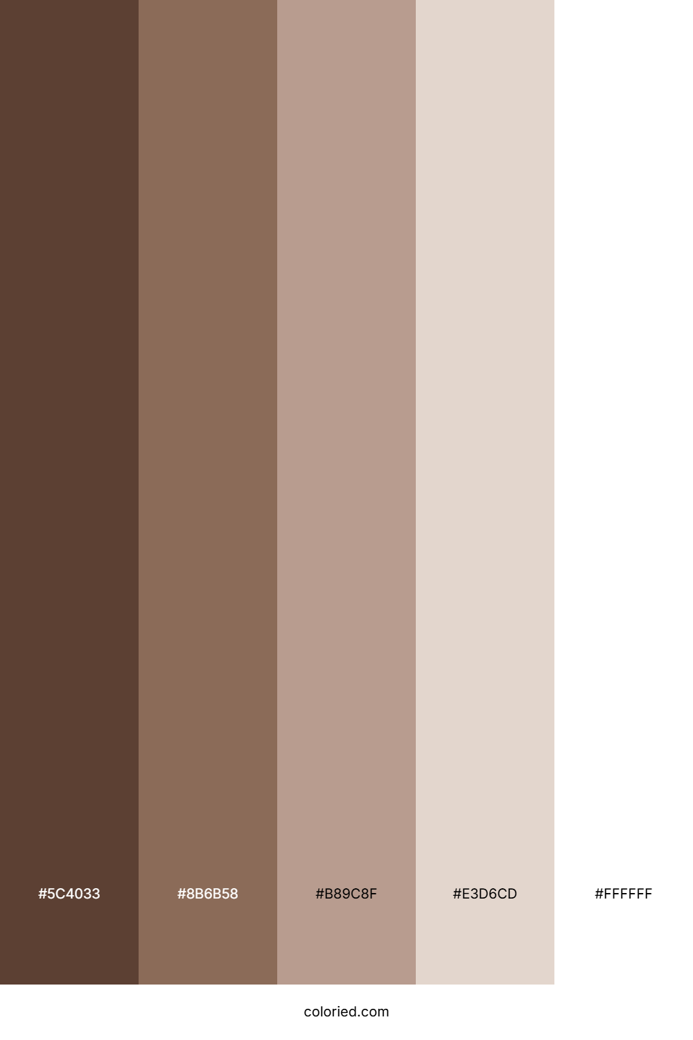 Brown and White Color Palette