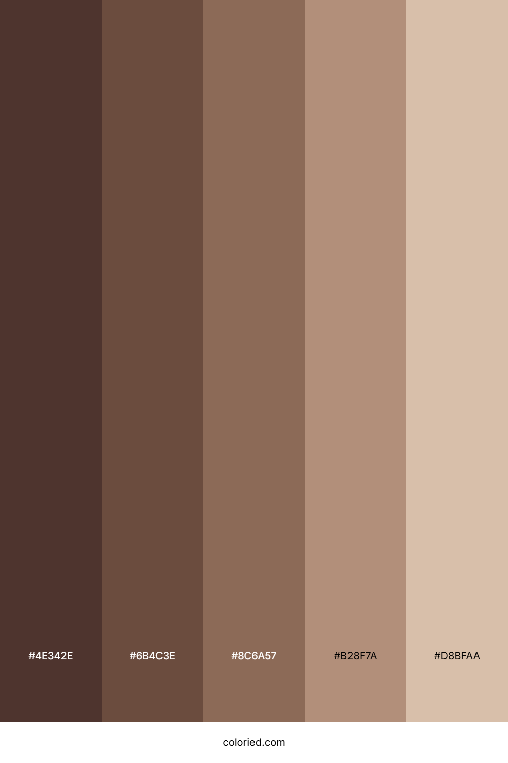 Brown Earth Tones Color Palette