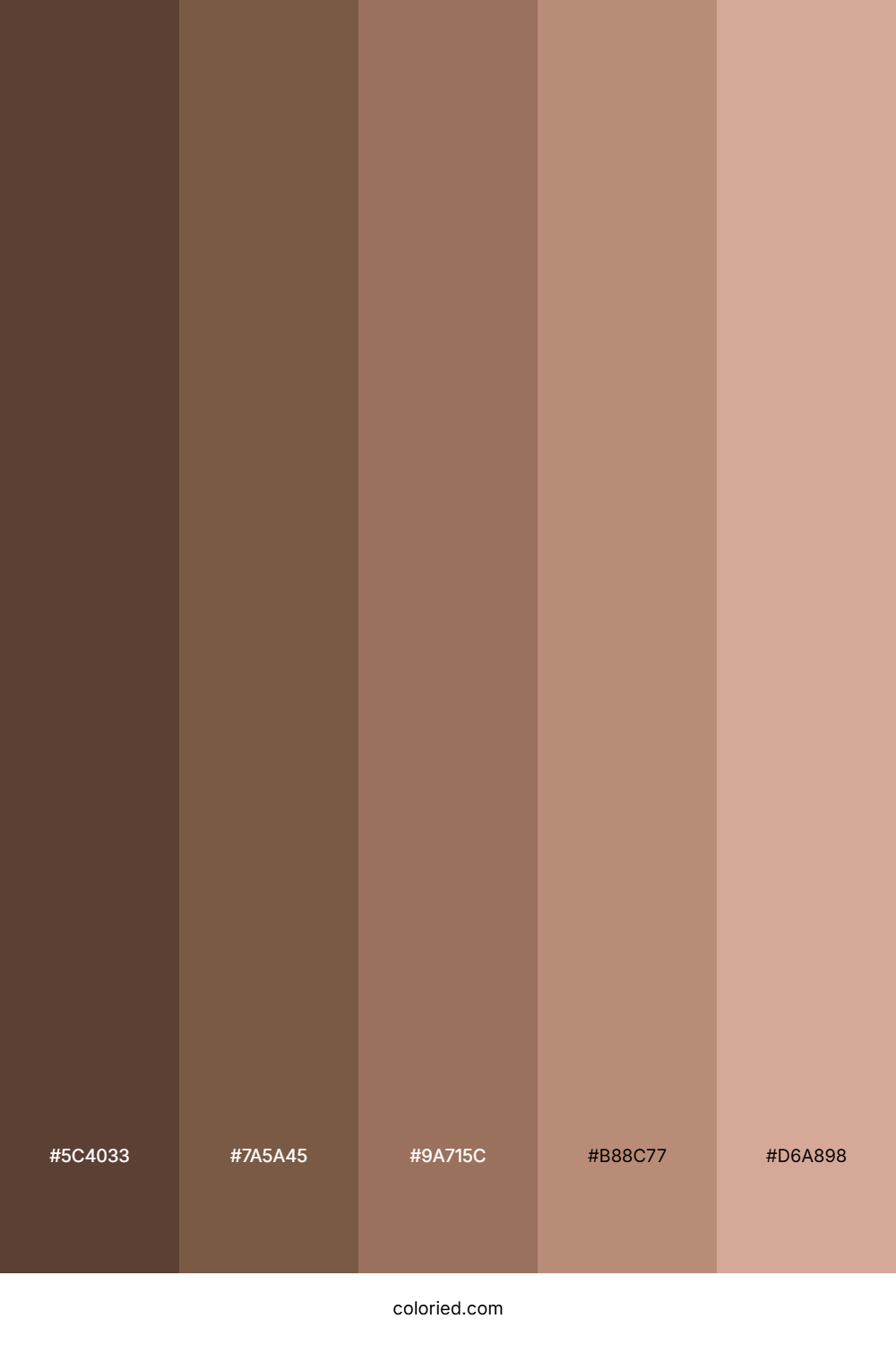 Brown Gradient Color Palette