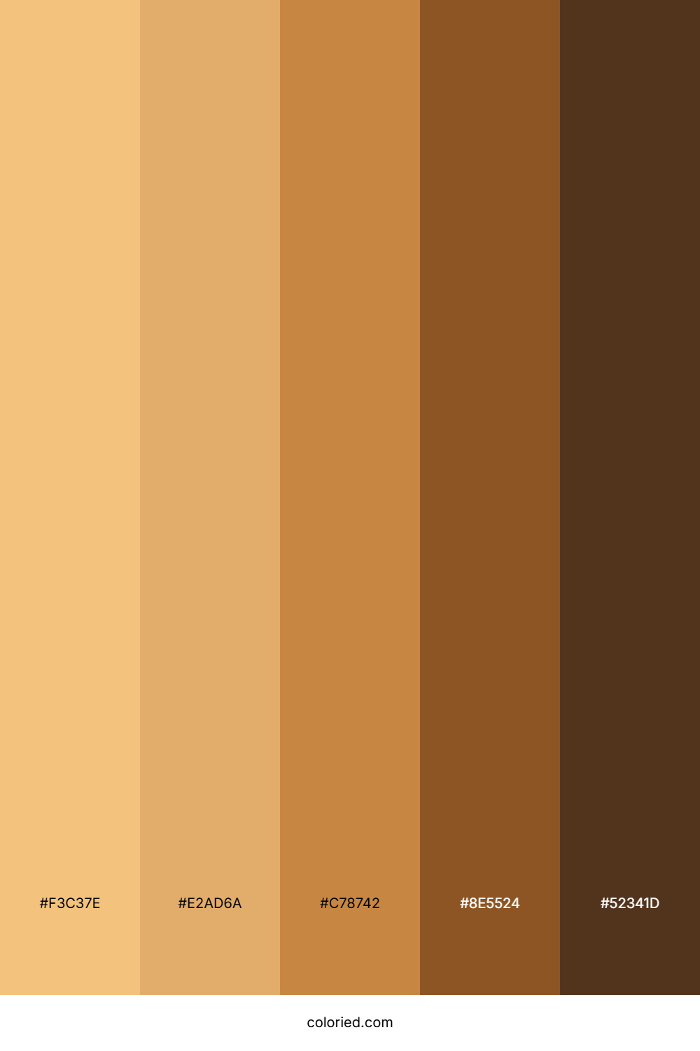 Brown Skin Color Palette