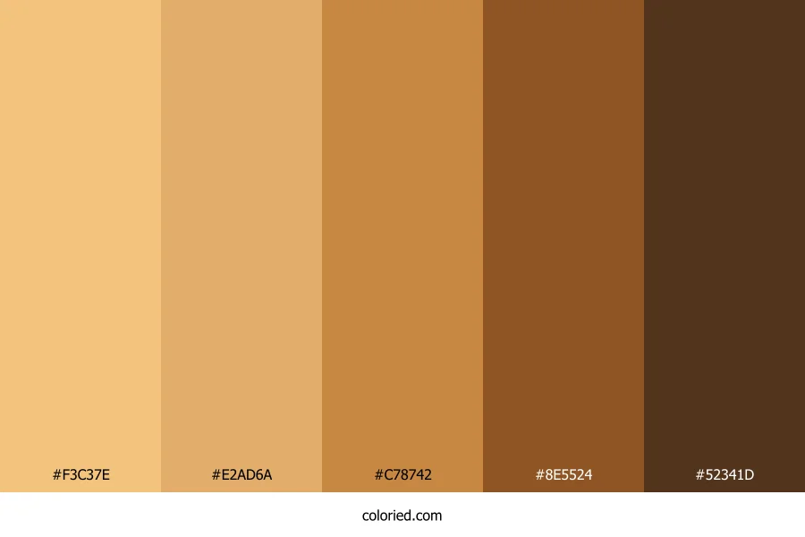 Brown Skin Color Palette