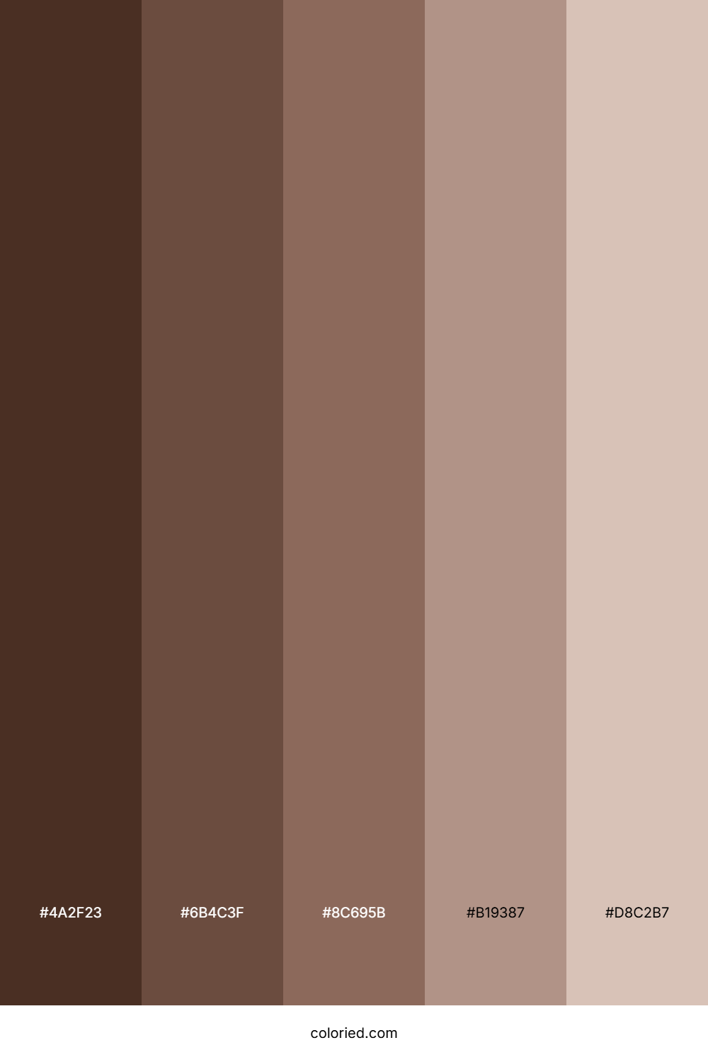 Brunette Color Palette