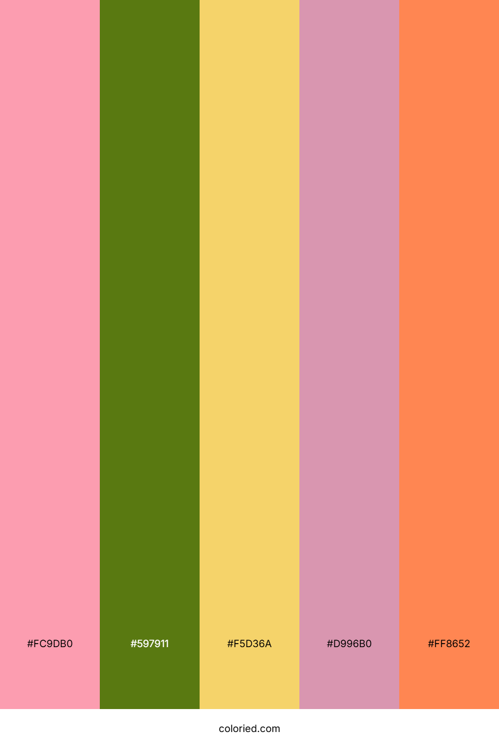 Bubblegum and Olive Color Palette