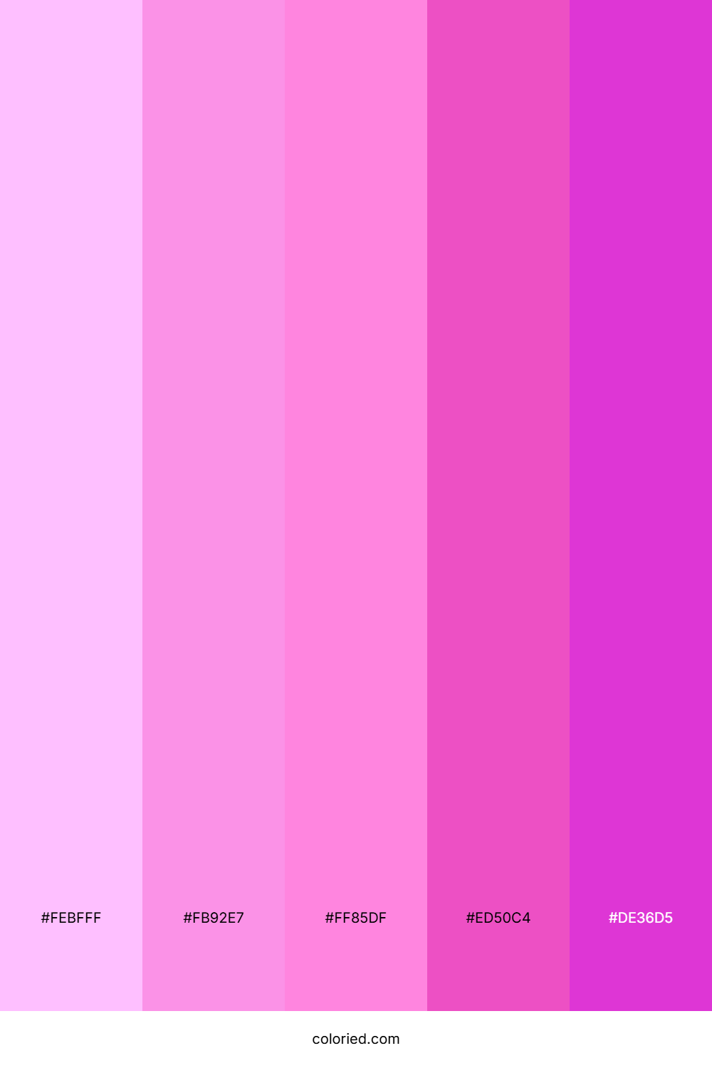 Bubblegum Pink and Fuchsia Color Palette