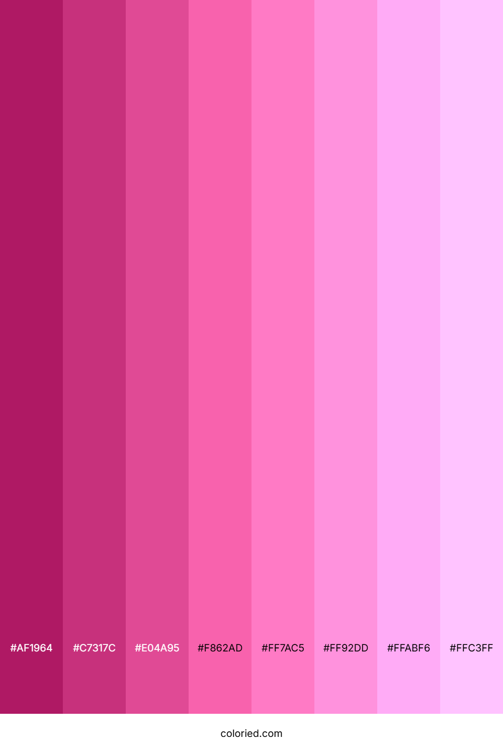 Bubblegum Pink Shades
