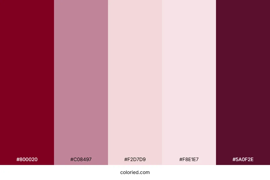 Burgundy and Blush Color Palette