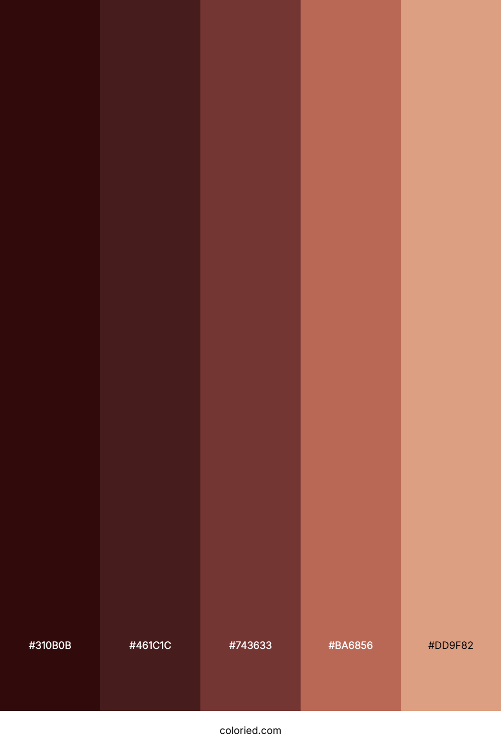 Burgundy and Clay Color Palette
