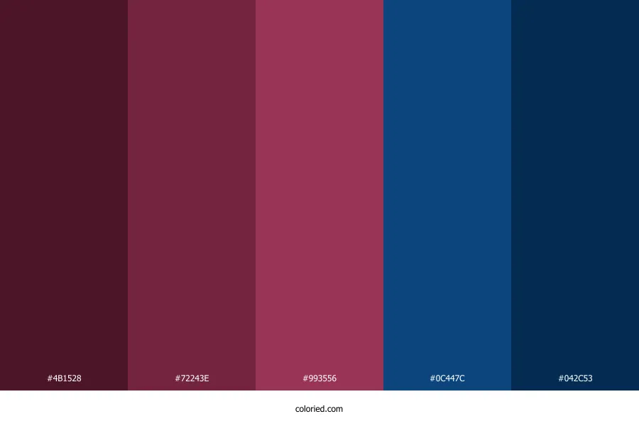 Burgundy and Navy Blue Color Palette