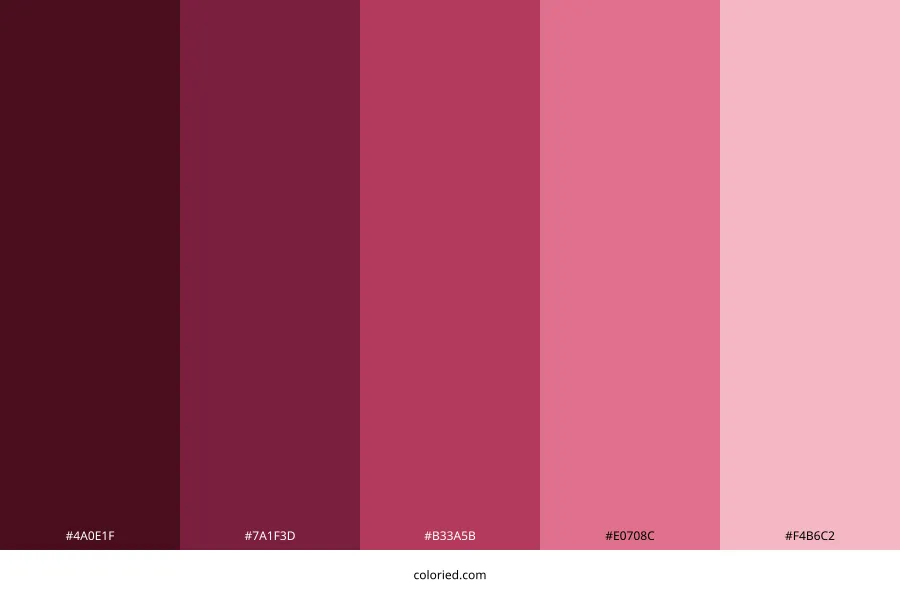 Burgundy and Pink Color Palette