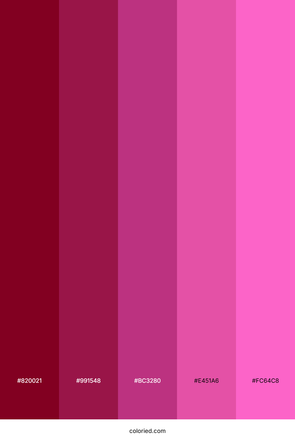 Burgundy and Vibrant Pink Color Palette