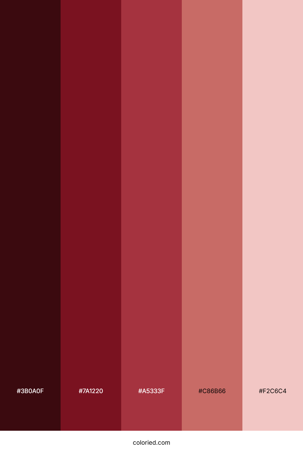 Burgundy Gradient Color Palette