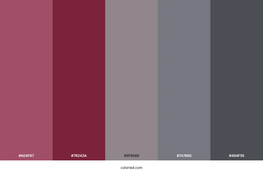 Burgundy Grey Color Palette